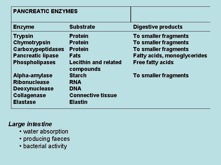 PANCREATIC ENZYMES Enzyme Substrate Digestive products Trypsin Chymotrypsin Carboxypeptidases Pancreatic lipase Phospholipases Protein Fats