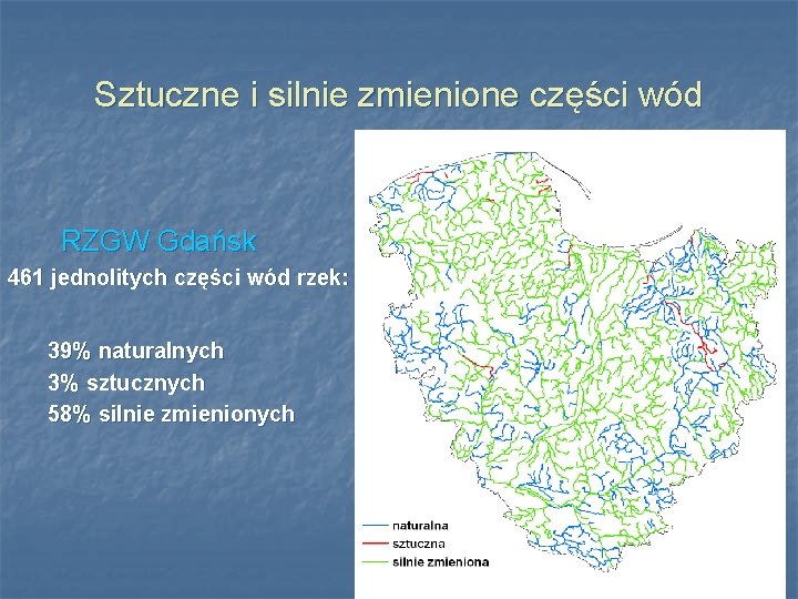 Sztuczne i silnie zmienione części wód RZGW Gdańsk 461 jednolitych części wód rzek: 39%