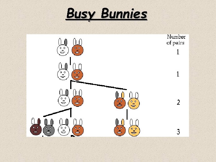 Busy Bunnies 