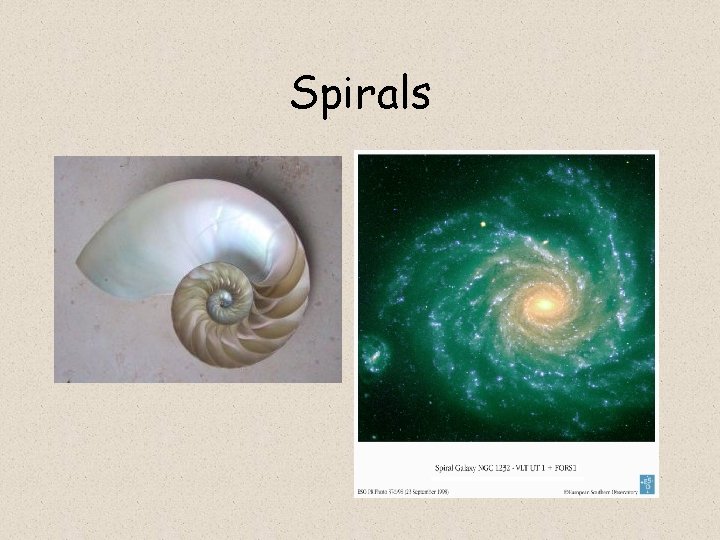 Spirals 