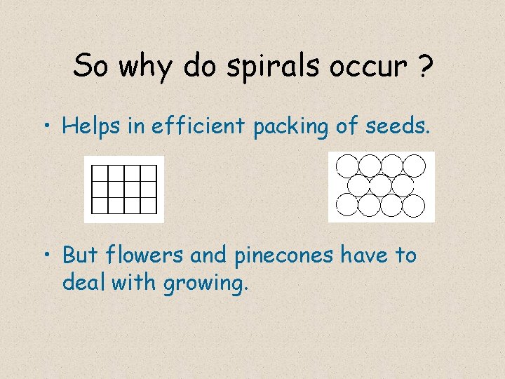 So why do spirals occur ? • Helps in efficient packing of seeds. •
