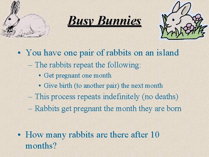 Busy Bunnies • You have one pair of rabbits on an island – The