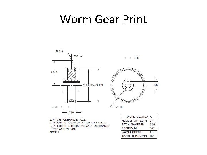 Worm Gear Print 