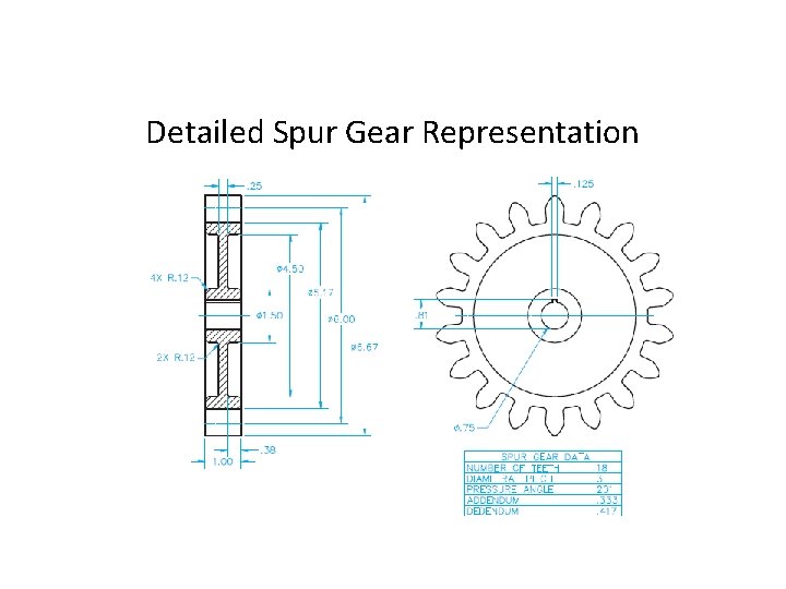 Detailed Spur Gear Representation 