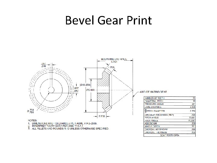 Bevel Gear Print 