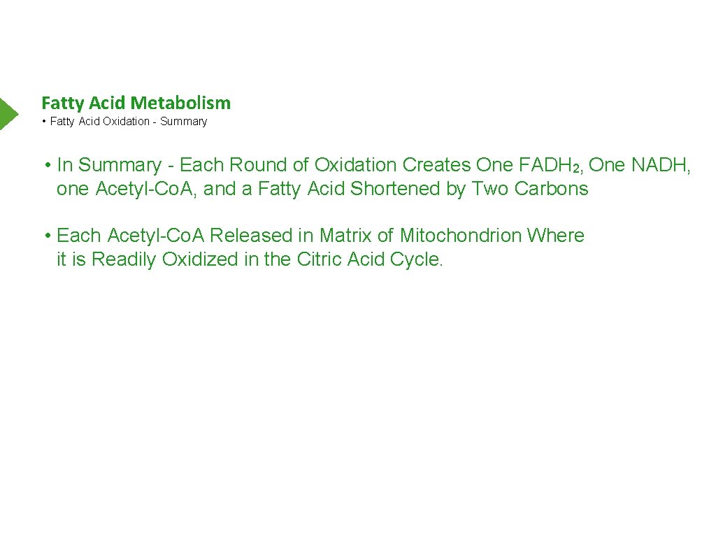 Fatty Acid Metabolism • Fatty Acid Oxidation - Summary • In Summary - Each