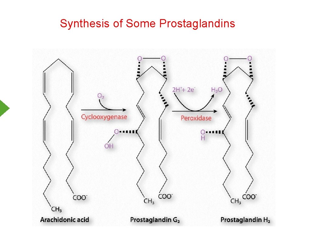 Synthesis of Some Prostaglandins 