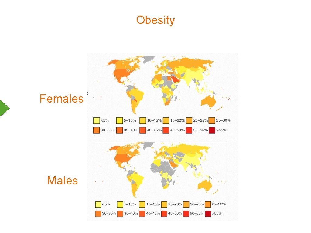 Obesity Females Males 