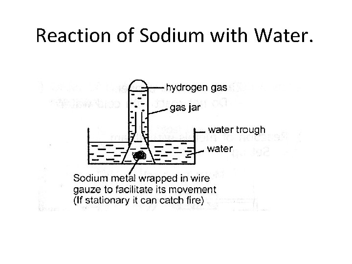 Reaction of Sodium with Water. 