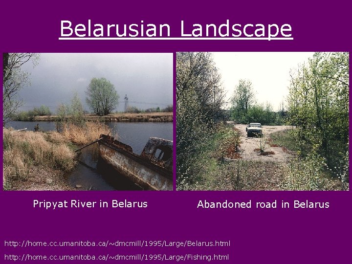 Belarusian Landscape Pripyat River in Belarus Abandoned road in Belarus http: //home. cc. umanitoba.