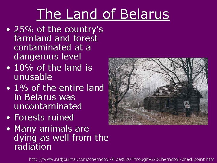 The Land of Belarus • 25% of the country's farmland forest contaminated at a