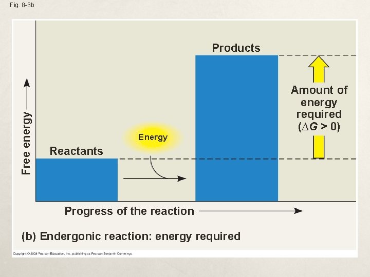 Fig. 8 -6 b Free energy Products Energy Reactants Progress of the reaction (b)