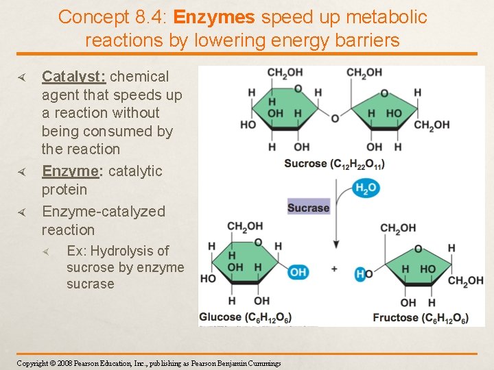 Concept 8. 4: Enzymes speed up metabolic reactions by lowering energy barriers Catalyst: chemical