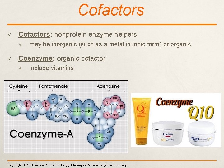 Cofactors Cofactors: nonprotein enzyme helpers may be inorganic (such as a metal in ionic