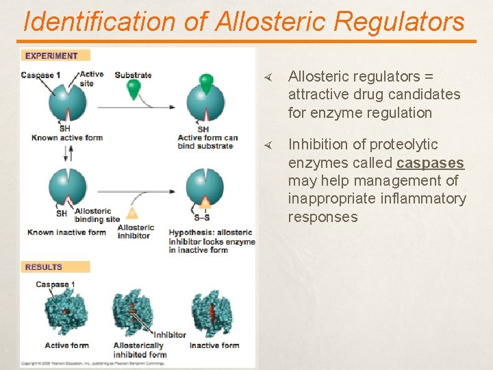 Identification of Allosteric Regulators Allosteric regulators = attractive drug candidates for enzyme regulation Inhibition