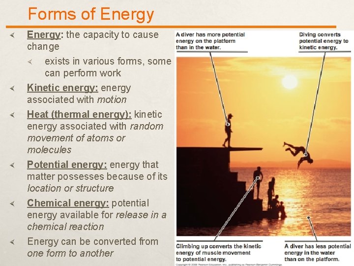 Forms of Energy: the capacity to cause change exists in various forms, some can