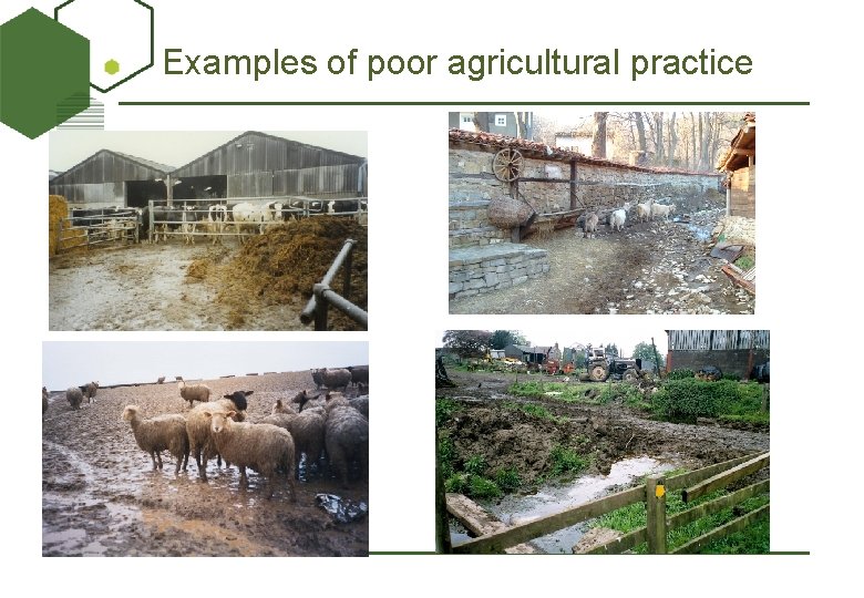 Examples of poor agricultural practice 
