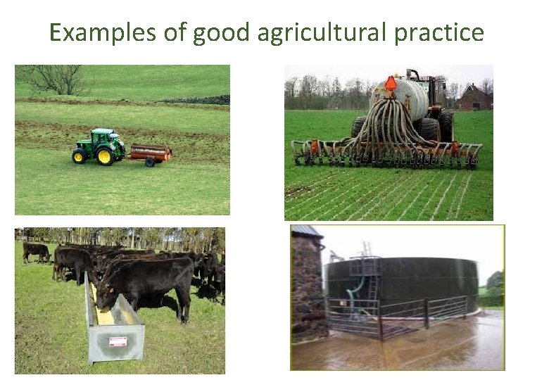 Examples of good agricultural practice 