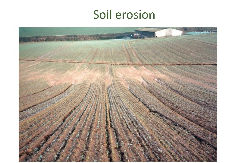 Soil erosion 