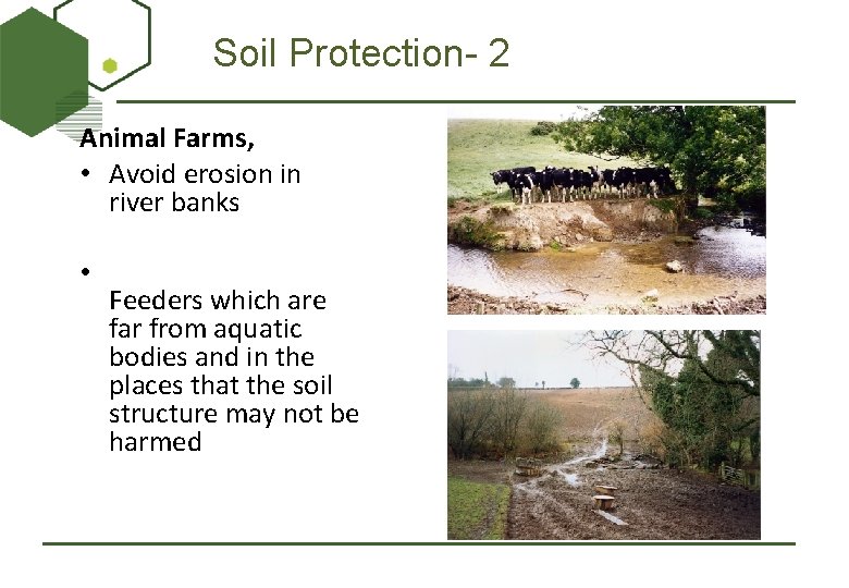 Soil Protection- 2 Animal Farms, • Avoid erosion in river banks • Feeders which