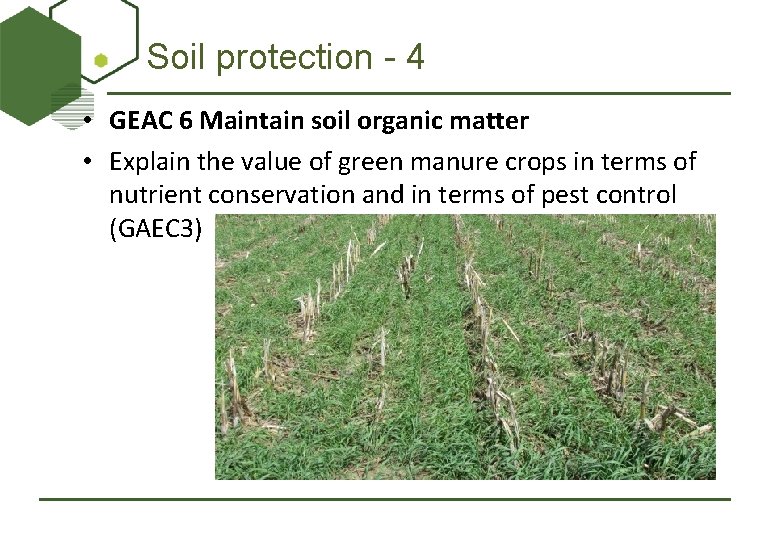 Soil protection - 4 • GEAC 6 Maintain soil organic matter • Explain the