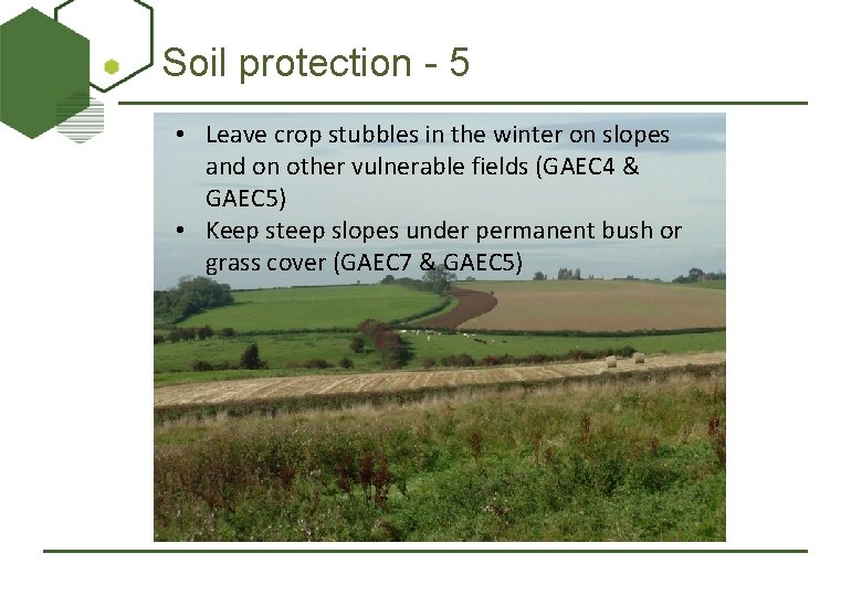 Soil protection - 5 • Leave crop stubbles in the winter on slopes and