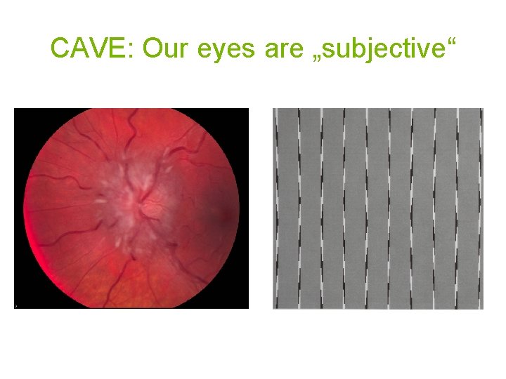 CAVE: Our eyes are „subjective“ 