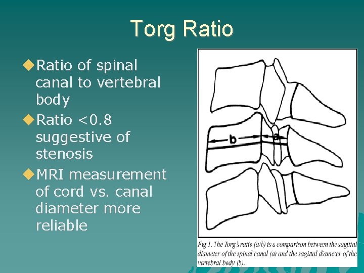 Torg Ratio of spinal canal to vertebral body Ratio <0. 8 suggestive of stenosis