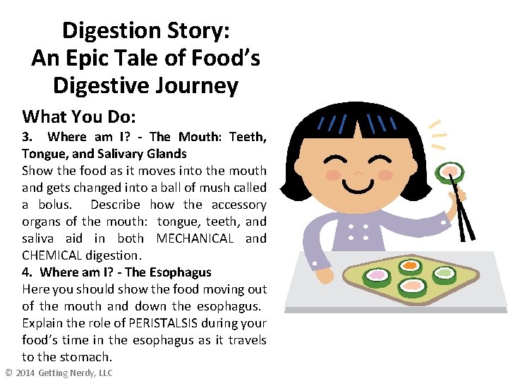 Digestion Story: An Epic Tale of Food’s Digestive Journey What You Do: 3. Where