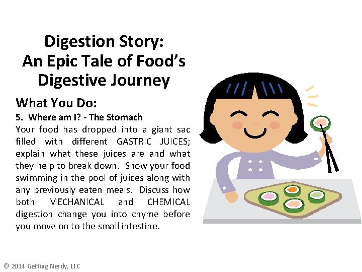 Digestion Story: An Epic Tale of Food’s Digestive Journey What You Do: 5. Where