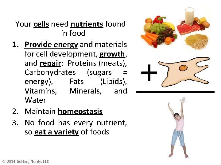 Your cells need nutrients found in food 1. Provide energy and materials for cell