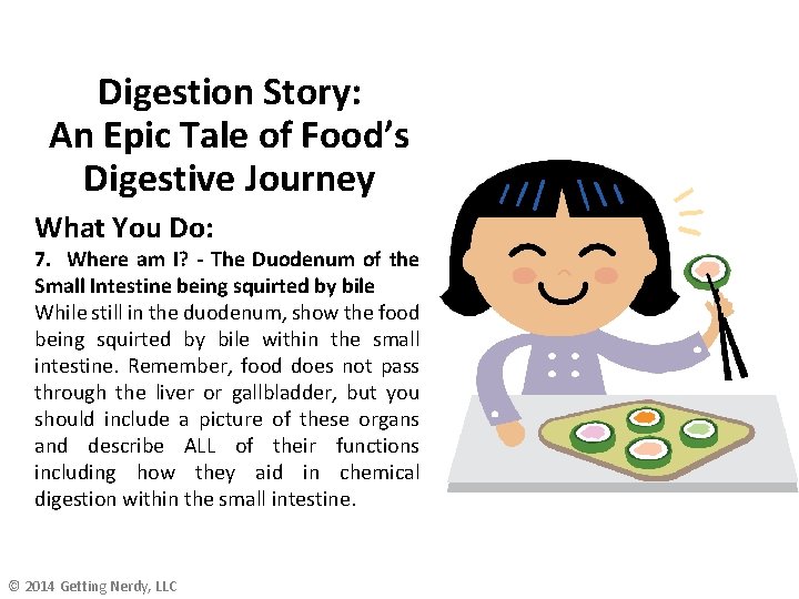 Digestion Story: An Epic Tale of Food’s Digestive Journey What You Do: 7. Where