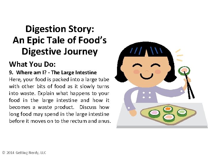 Digestion Story: An Epic Tale of Food’s Digestive Journey What You Do: 9. Where