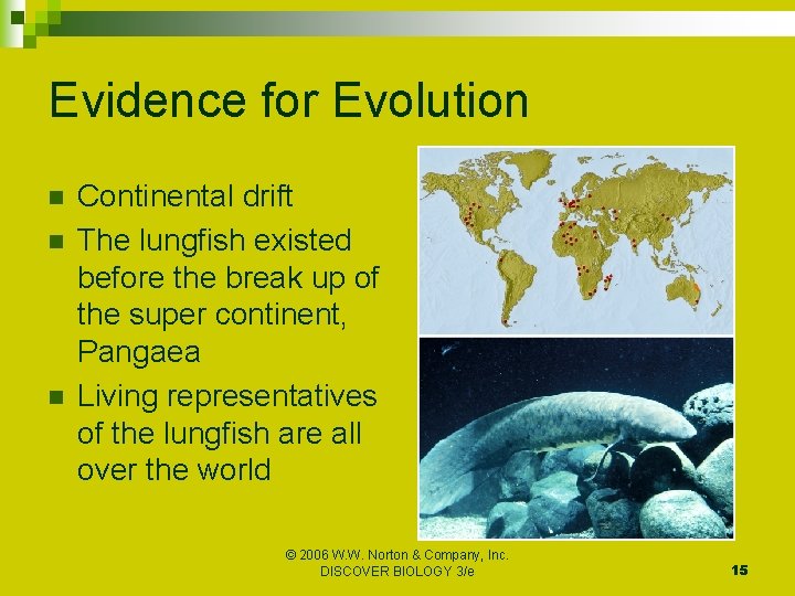 Evidence for Evolution n Continental drift The lungfish existed before the break up of