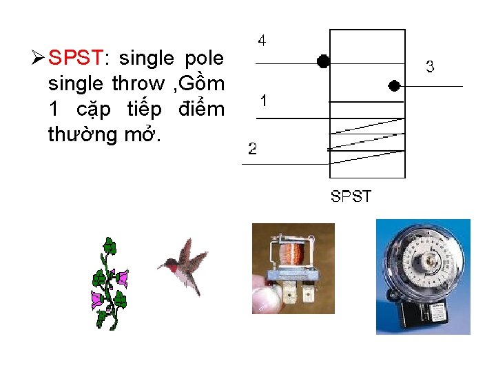 Ø SPST: single pole single throw , Gồm 1 cặp tiếp điểm thường mở.