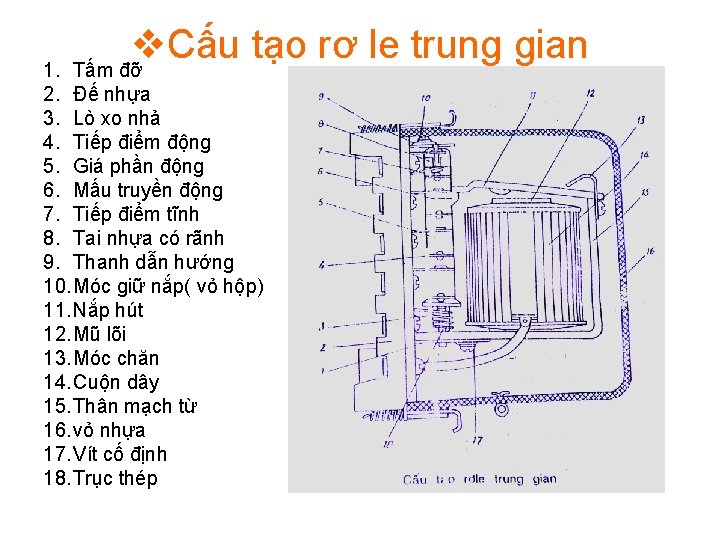 v Cấu tạo rơ le trung gian Tấm đỡ 1. 2. Đế nhựa 3.