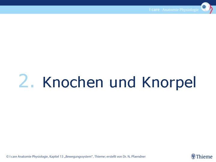 2. Knochen und Knorpel 