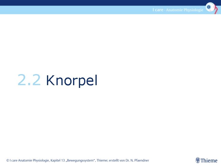 2. 2 Knorpel 