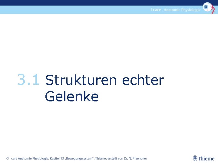 3. 1 Strukturen echter Gelenke 