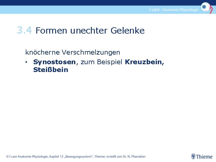 3. 4 Formen unechter Gelenke knöcherne Verschmelzungen • Synostosen, zum Beispiel Kreuzbein, Steißbein 