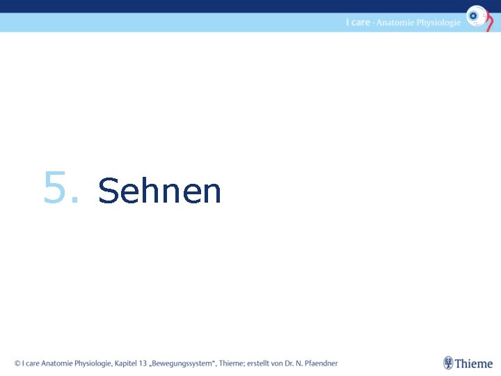 5. Sehnen 