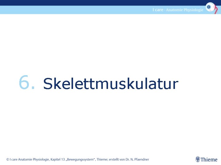 6. Skelettmuskulatur 