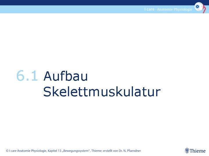 6. 1 Aufbau Skelettmuskulatur 