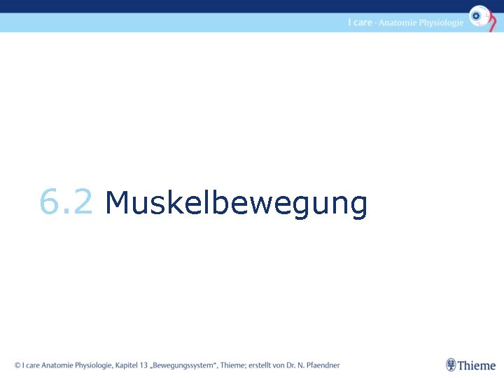 6. 2 Muskelbewegung 