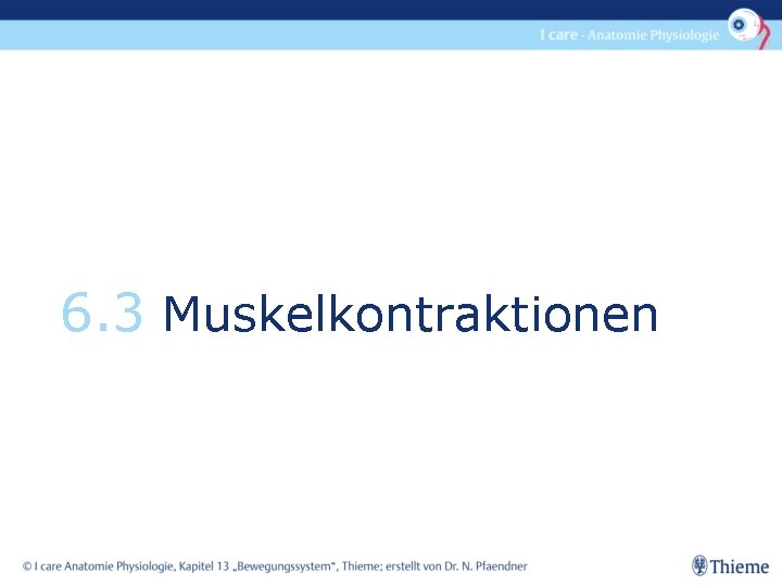 6. 3 Muskelkontraktionen 