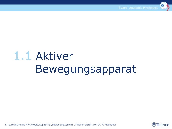 1. 1 Aktiver Bewegungsapparat 