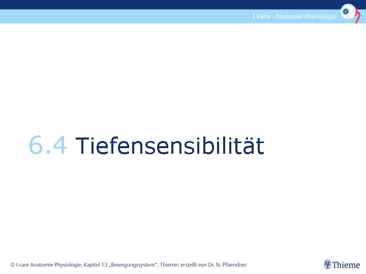 6. 4 Tiefensensibilität 