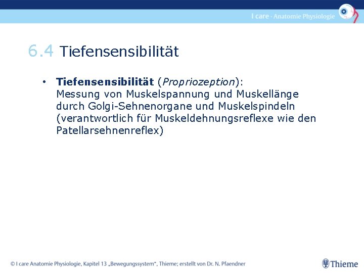 6. 4 Tiefensensibilität • Tiefensensibilität (Propriozeption): Messung von Muskelspannung und Muskellänge durch Golgi-Sehnenorgane und