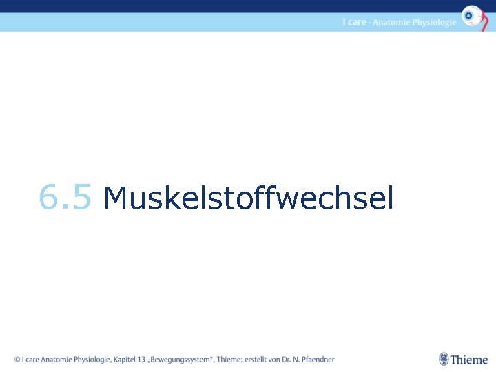 6. 5 Muskelstoffwechsel 