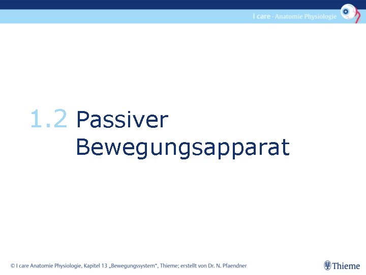 1. 2 Passiver Bewegungsapparat 